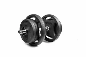 Гантеля розбірна RN-Sport 21 кг металева (RN_QTR21) купити