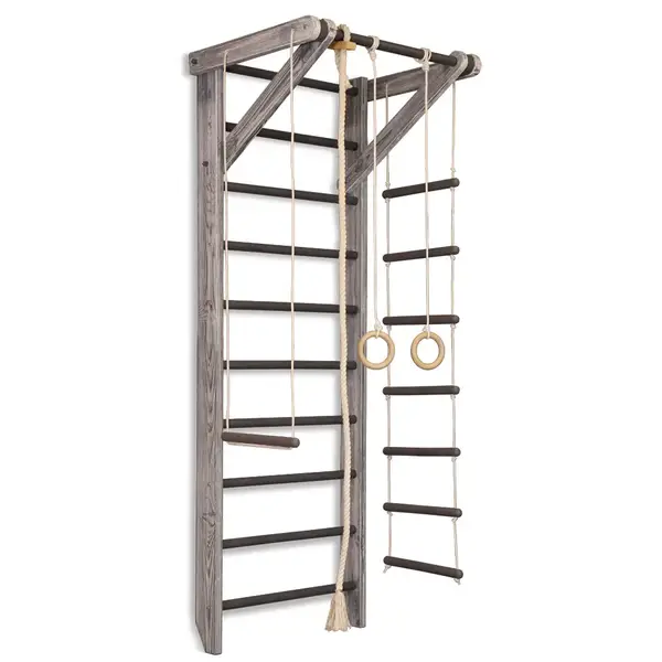 Спортивный уголок SportBaby "Sport Loft 2-220" купить недорого в Украине, фото 4