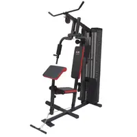 Профессиональный тренажер Body Sculpture Multigym BMG 4303 купить