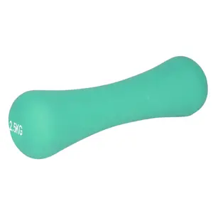 Гантель неопренова PowerPlay 4126 Spartacus 2.5 кг. М'ятна (1шт.) купити