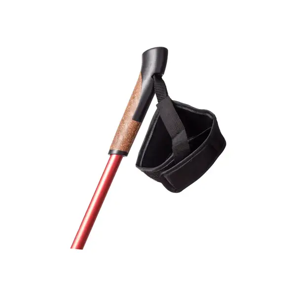 Палки для нордической ходьбы Nils NW 802 купить недорого в Украине, фото 6