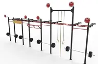 Кроссфит станция V`Noks EXO 8-4 W купить