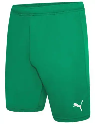 Шорты Puma teamRISE Short зеленый Муж XL купить