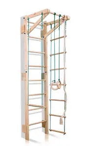 Детский спортивный уголок "Teenager Sport 2-220" купить