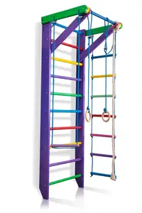 Спортивний куточок «Карусель 2-220» купити