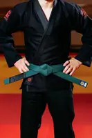 Зеленый пояс для джиу джитса ТМ KINTAYO, 160 рост купить