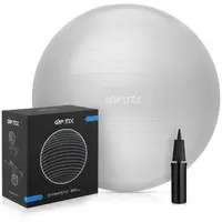 Фитбол Queenfit 65см серый + насос купить