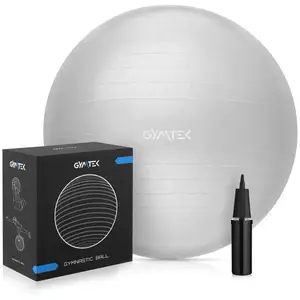 Фитбол Queenfit 65см серый + насос купить