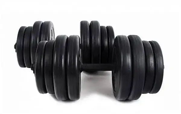 Гантели наборные 2 шт RN16 кг с покрытием ABS + Скакалка в подарок купить