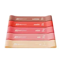 Набор резинок для фитнеса 600x50mm HS-L650RLR Красный купить