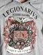 Толстовка Leone Legionarivs Fleece | Сірий | S купити