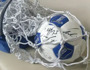 Сітка для футбольних воріт (вузлова) 5х5м (3х2х1.5 м) купити