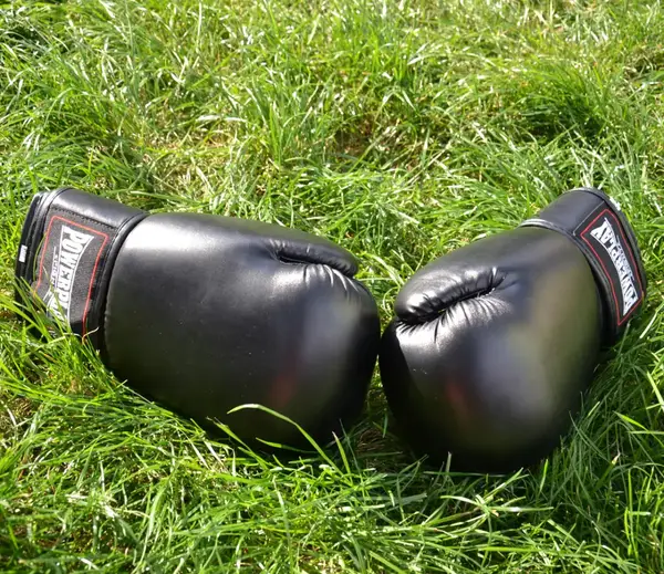 Боксерські рукавиці PowerPlay 3004 Classic Чорні 14 унцій купити недорого в Україні, фото 9