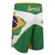 Шорти MMA Leone Brazil White XL купити