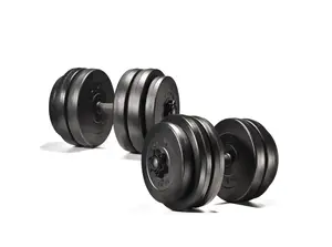 Гантелі Elitum 2 х 26кг купити