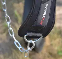 Пояс для обременений с цепью PowerPlay 3095 неопреновый Черный купить