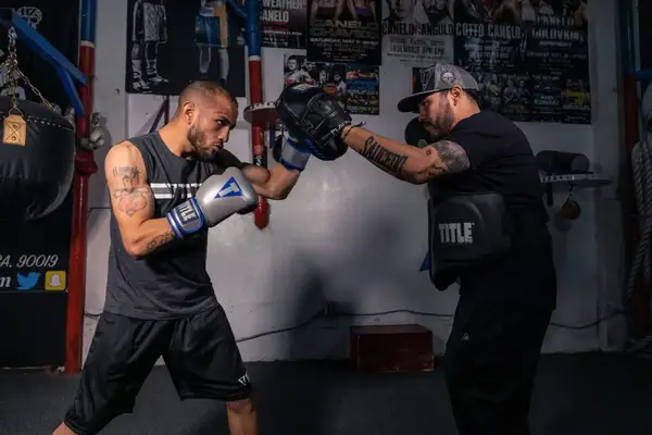 Защитный жилет тренера TITLE Platinum Prolific Body Protector Black купить недорого в Украине, фото 6