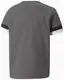 Футболка Puma teamRISE Jersey Jr сірий Діт 152 см купити