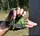 54f8ead7a398840b6d55e97025ba8876