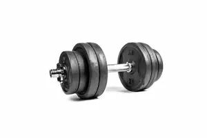 Гантеля розбірна RN-Sport 16 кг (RN_QTR16) купити