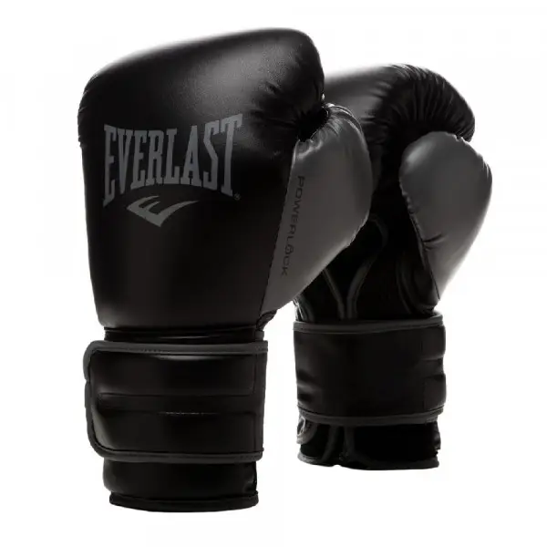 Боксерські рукавиці Everlast POWERLOCK 2R TRAINING GLOVE чорний Уні 10 унцій купити