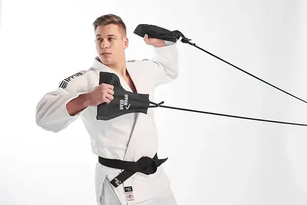 Тренежер для єдиноборств IPPONGEAR Uchi Komi 2 (учі комі) купити недорого в Україні, фото 2