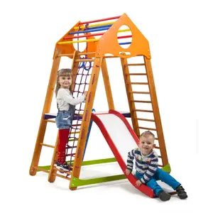 Детский спортивный комплекс BambinoWood Plus 2 купить