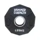 Диск для штанги 1.25 кг | Черный | Hammer Strength купить недорого в Украине, фото 41212