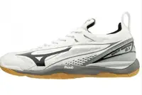 Кросівки MIZUNO WAVE MIRAGE 2.1 - Wht/Blk /High-r (44.5) UK10 купити