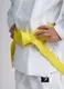 Детское кимоно для дзюдо IPPON GEAR NXT, 140см купить