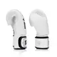 Боксерские варежки Fairtex BGV1-ONE (натуральная кожа) White 14 унций (бинты в комплекте) купить
