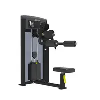 Дельта машина IMPULSE Classic Lateral Raise | Чорний купити