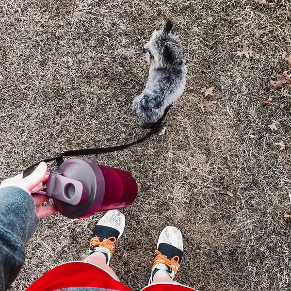 Шейкер спортивный BlenderBottle Classic Loop 20oz/590ml Plum купить недорого в Украине, фото 10