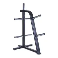 Стійка для дисків Generation Fitness DR-02 купити