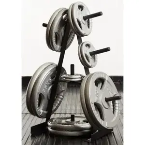 Стойка для дисков Toorx Rack 25 mm (RPD-25) купить