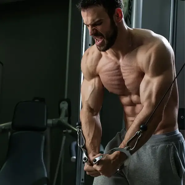 Ручка York Fitness для тяги с резиновой рукояткой, хром. купить недорого в Украине, фото 6