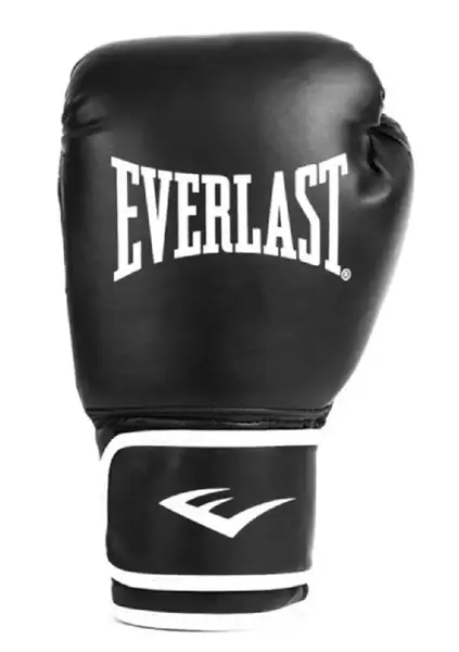 Боксерські рукавиці Everlast CORE 2 TRAINING GLOVE чорний Уні L/XL купити