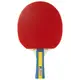 Ракетка для настольного тенниса Joola Team Master (52001) купить