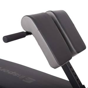 Лава для гіперекстензії inSPORTline ON-X RCB20 купити