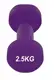 Гантель вінілова PowerPlay 4125 Achilles 2.5 кг. Фіолетова (1шт.) купити