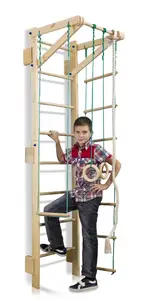 Детский спортивный уголок "Teenager Sport 2-220" купить