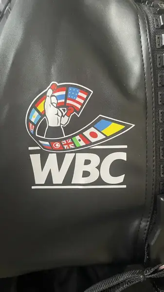 Сумка рюкзак (2 в 1) с белым логотипом WBC черный | ADIDAS ADIACC051WB купить недорого в Украине, фото 3