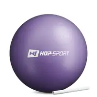 Фитбол Hop-Sport 25см фиолетовый купить