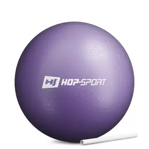 Фитбол Hop-Sport 25см фиолетовый купить