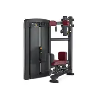 Торс-машина Iron Impulse Torso Rotation RT.LS21 | Черный/Черный | Черный/Черный купить