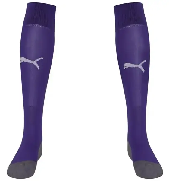 Гетры Puma Team LIGA Socks CORE сиреневый Уни 39-42 купить недорого в Украине, фото 2