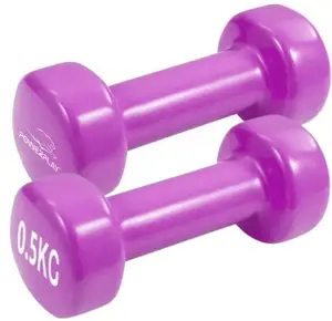 Гантели виниловые PowerPlay 4125 Achilles 2*0,5кг. Розовые ( пара 2шт.) купить