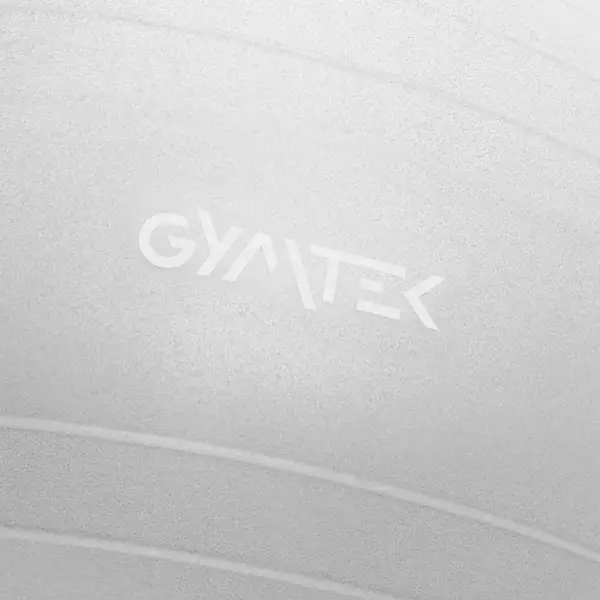 Фитбол Queenfit 65см серый + насос купить недорого в Украине, фото 2