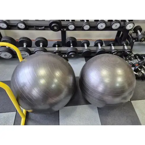 М'яч для фітнесу Generation Fitness Anti-Burst FF-75 см Silver з насосом купити недорого в Україні, фото 8