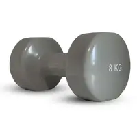 Гантель вінилова Stein 8 кг/ шт / сіра купити